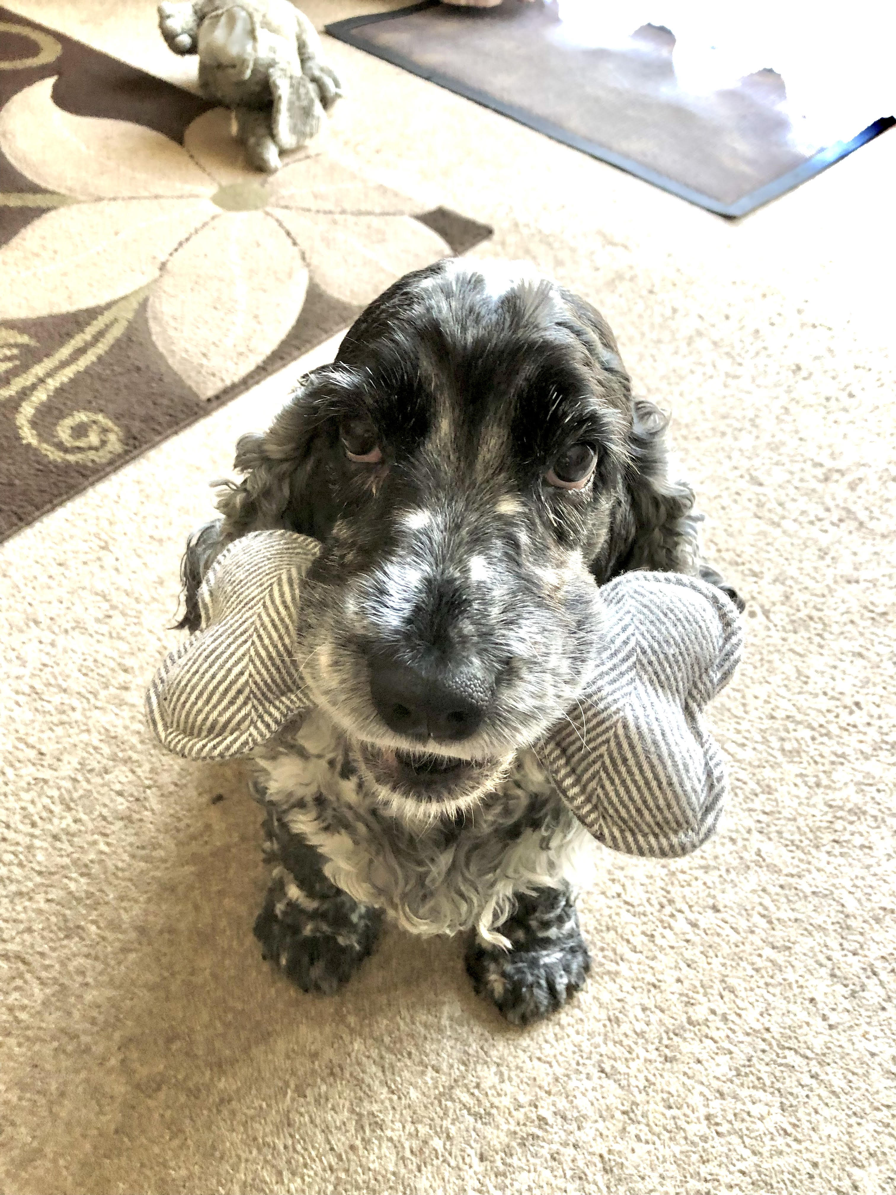 Molly